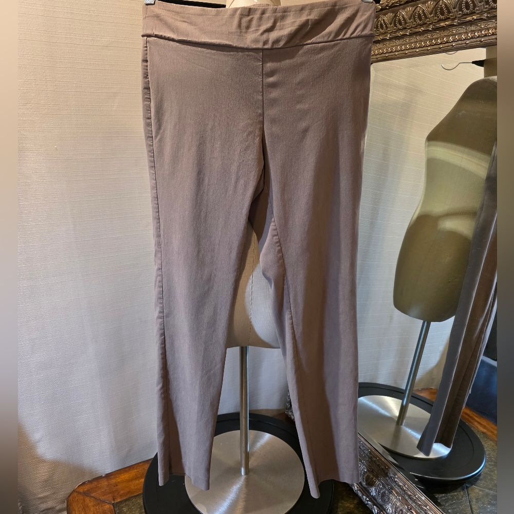 Alfani Tan/Dark Beige "Tummy Control" Pull-on Style Pants.  Sz 8